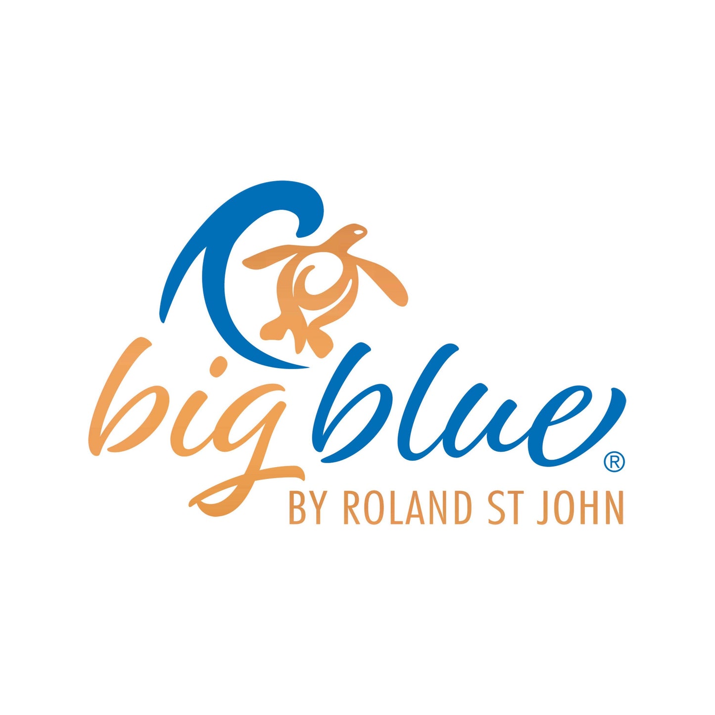 Big Blue by Roland St John - Bronze Turtle Drop Earrings for Women, Bronze Turtle Dangle Earrings, Honu Turtle Earrings for Women, Boho Jewelry, Bronze Jewelry
